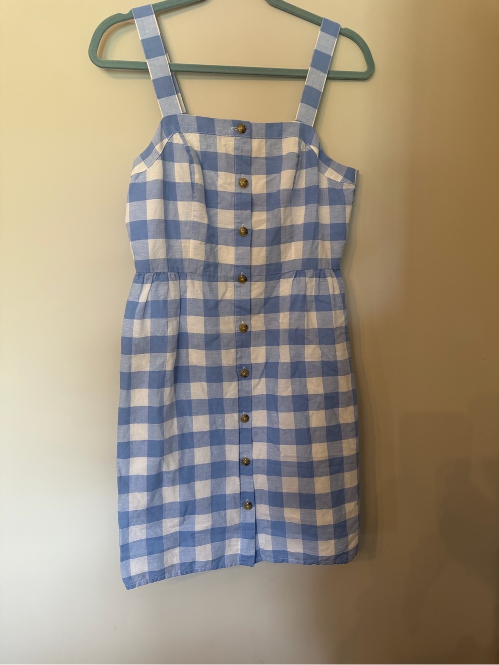 J. Crew Blue and White Gingham Button-Front Mini Dress